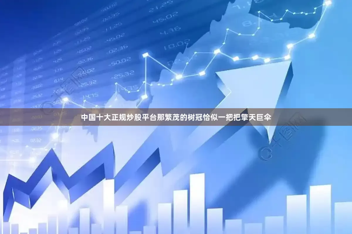 中国十大正规炒股平台那繁茂的树冠恰似一把把擎天巨伞