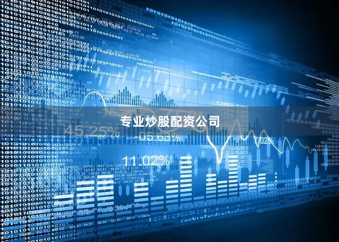 专业炒股配资公司
