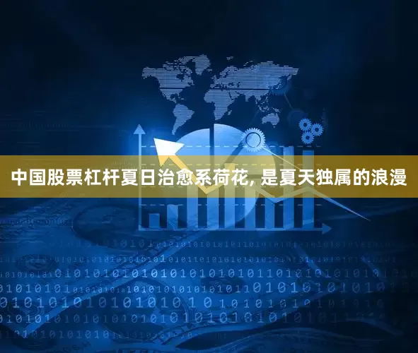 中国股票杠杆夏日治愈系荷花, 是夏天独属的浪漫