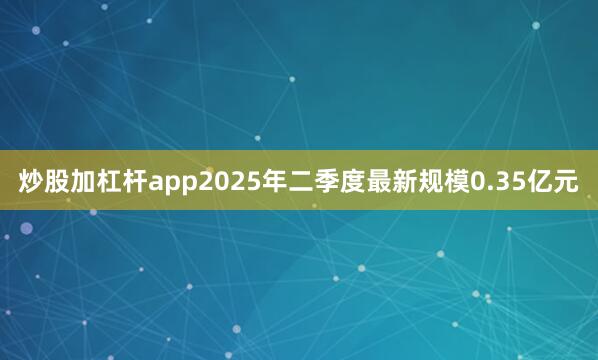炒股加杠杆app2025年二季度最新规模0.35亿元
