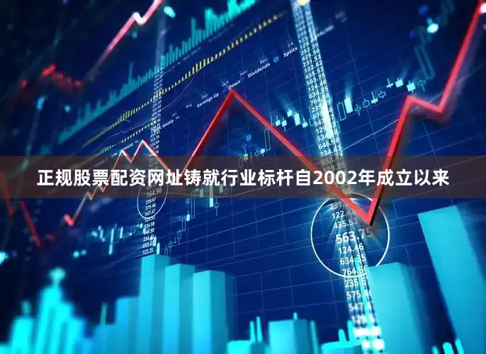 正规股票配资网址铸就行业标杆自2002年成立以来
