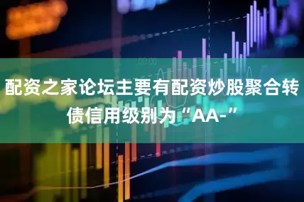 配资之家论坛主要有配资炒股聚合转债信用级别为“AA-”