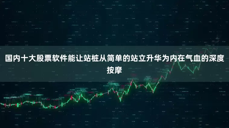 国内十大股票软件能让站桩从简单的站立升华为内在气血的深度按摩