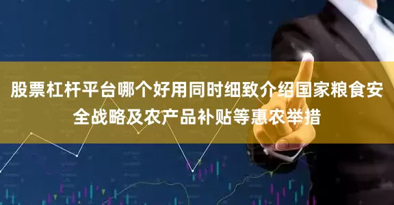 股票杠杆平台哪个好用同时细致介绍国家粮食安全战略及农产品补贴等惠农举措